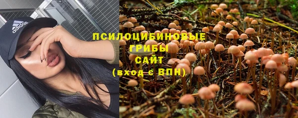 mdpv Переславль-Залесский