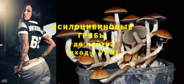 apvp Алексин