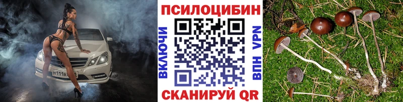 Псилоцибиновые грибы Cubensis  продажа наркотиков  это наркотические препараты  Пролетарск 